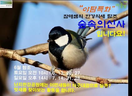 124(한강야생탐사센터/특화)(토,일) 숲속의 신사 박새 사진