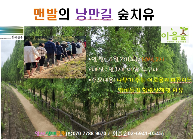 맨발의 낭만길 숲치유