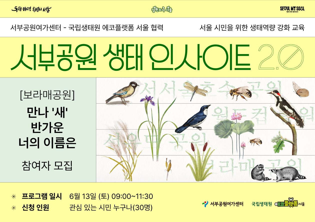 [보라매공원]-국립생태원 에코플랫폼 서울 협력 서부공원 생태 인사이트 2.0(만나'새' 반가운 너의 이름은)