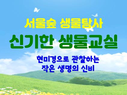 124[서울숲]신기한생물교실 (6월)-일 사진