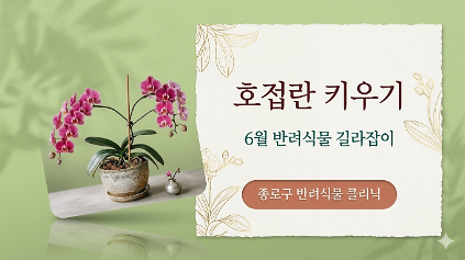 124종로구 6월 반려식물 길라잡이 사진