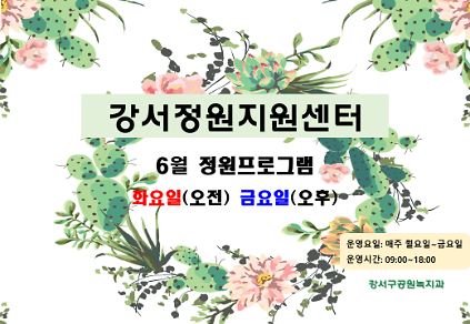 124강서정원지원센터 6월 정원프로그램(화요일, 금요일) 사진