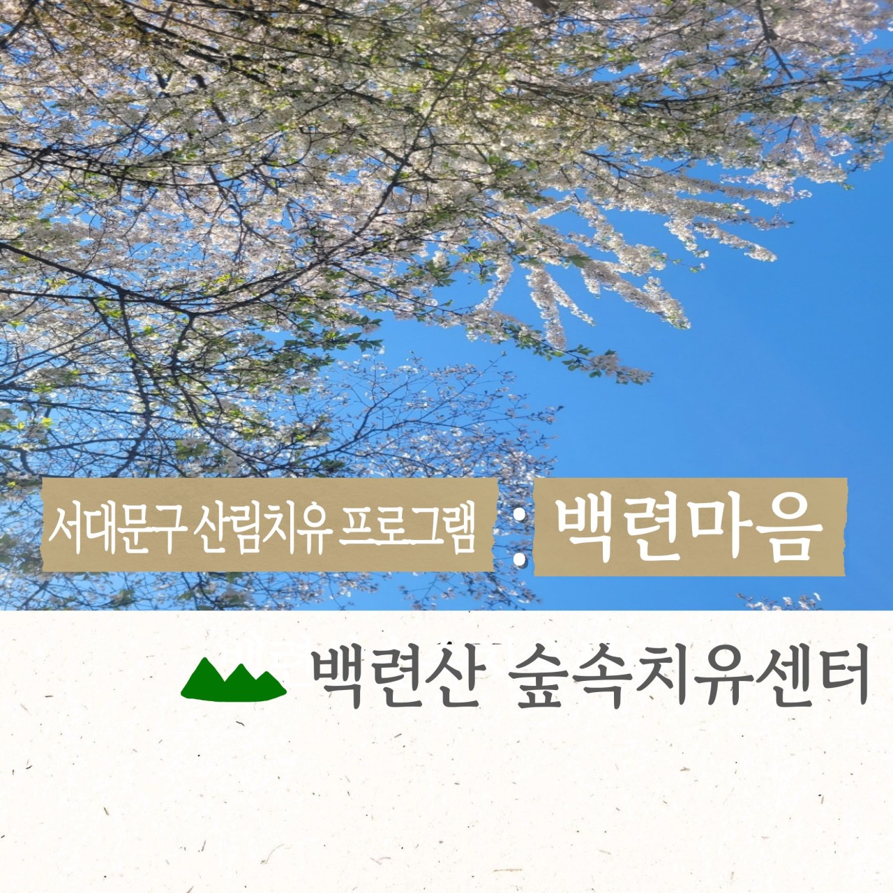 [서대문구민 우선] 6월 백련산숲속치유센터 [백련마음]