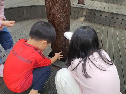 124 [성북구]월곡산 오동공원 치유의 숲길-(일)우리가족힐링데이 사진