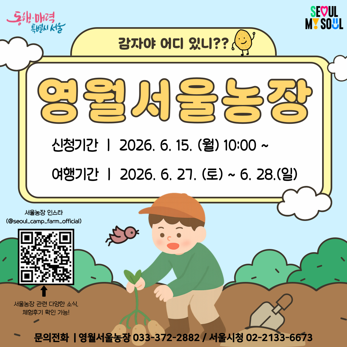 [영월서울농장] 감자야 어디있니? (260627)