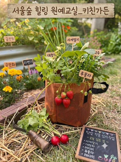 124서울숲 힐링 원예교실(6월)-일요일 사진