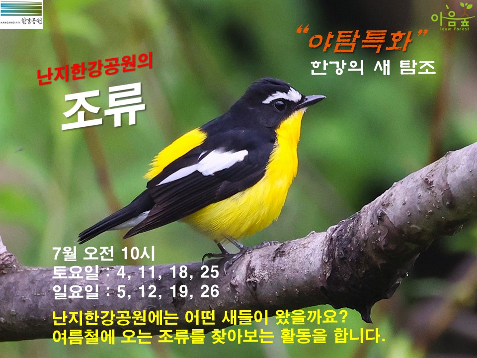 (한강야생탐사센터/특화)(토,일) 여름철새