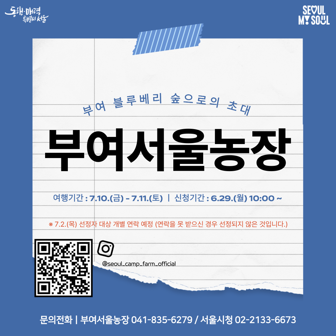 [부여서울농장] 부여 블루베리 숲으로의 초대 (260710)