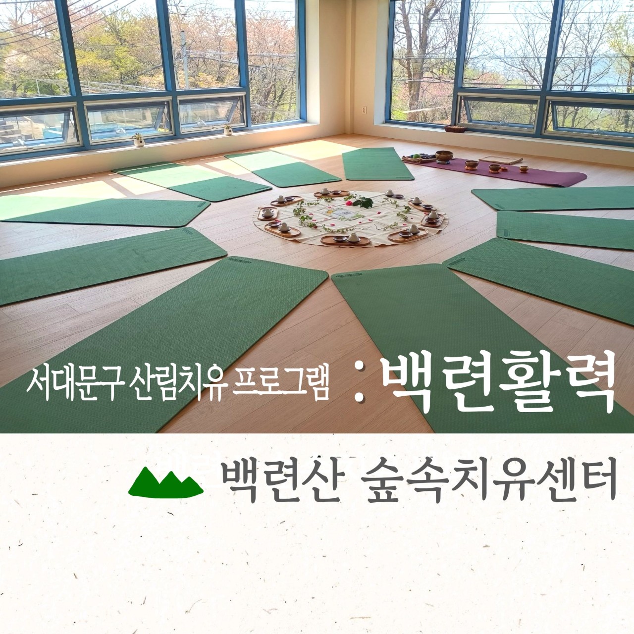 [서대문구민 우선] 7월 백련산숲속치유센터 [백련활력]