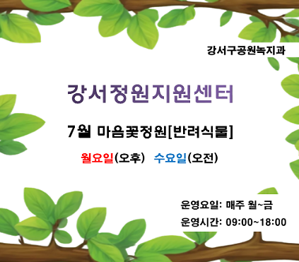 124강서정원지원센터 7월 정원프로그램(월요일, 수요일) 사진