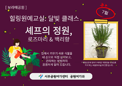 124[보라매공원] <여름방학 특별> 힐링원예교실: 달빛 클래스(7월) 사진