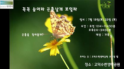 124(고덕)(토) 꼭꼭 숨어라 곤충날개 보일라 사진