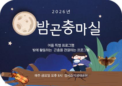 124[강서습지] 밤 마실 곤충 사진