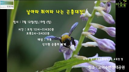 124(고덕)(일)날아라 뛰어라 나는 곤충대장 사진