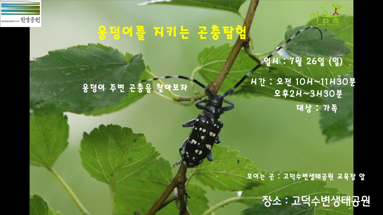 (고덕)(일)웅덩이를 지키는 곤충탐험