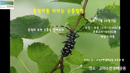 124(고덕)(일)웅덩이를 지키는 곤충탐험 사진