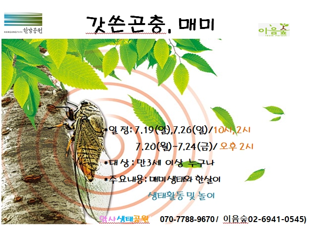 갓쓴곤충 매미