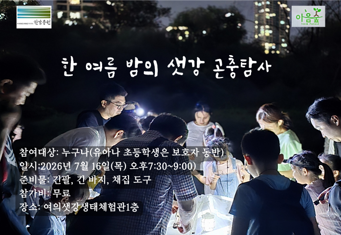 한 여름밤의 샛강 곤충 탐사
