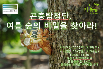 124(난지생태습지원/특화) 곤충탐정단, 여름 숲의 비밀을 찾아라! 사진