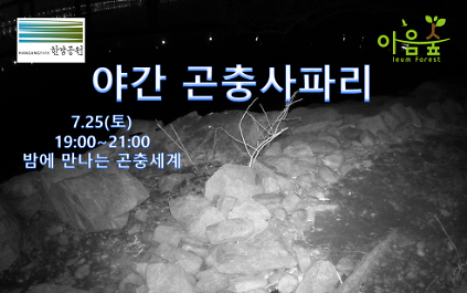 124(난지생태습지원/특화) 야간 곤충사파리 사진