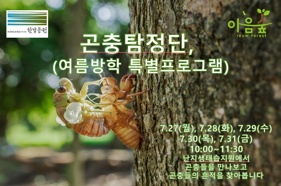 (난지생태습지원/특화) 곤충탐정단, 여름방학 특별프로그램
