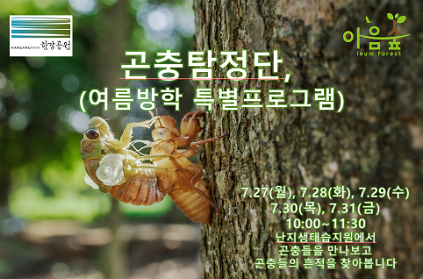 124(난지생태습지원/특화) 곤충탐정단, 여름방학 특별프로그램 사진