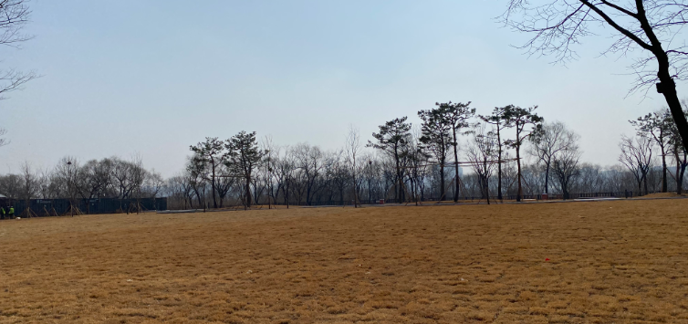 8월 프리캠핑존 (4인용, 잔디형) 26년 한강공원 난지캠핑장