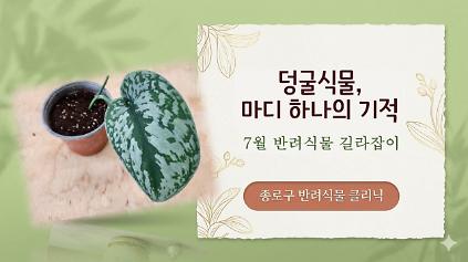124종로구 7월 반려식물 길라잡이 사진