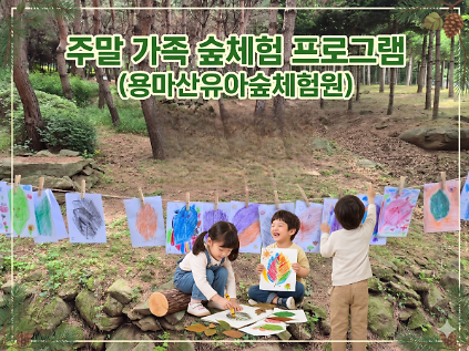 124아이와 함께하는 가족 숲체험(용마산유아숲체험원) 사진
