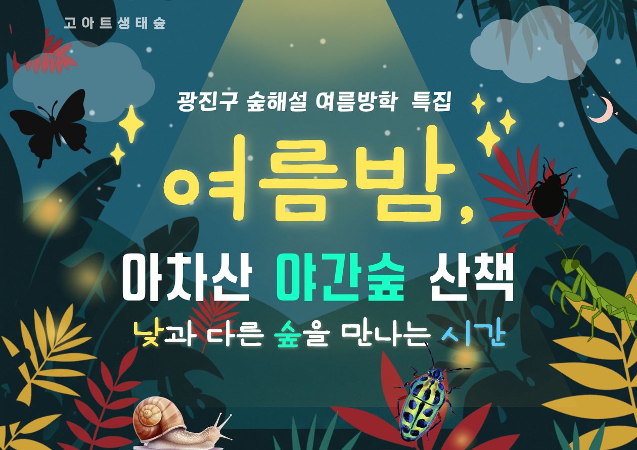 광진구숲해설- 여름밤, 야간숲 산책(7,8월)