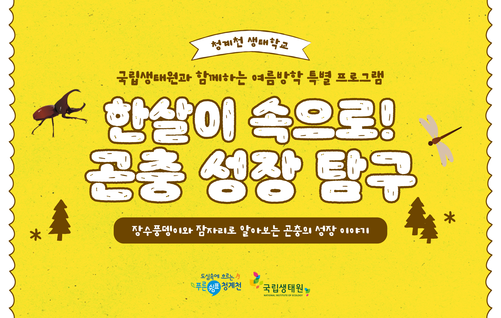 (초저)[한살이 속으로! 곤충 성장 탐구]국립생태원과 함께하는 청계천 생태학교 여름 특별 프로그램