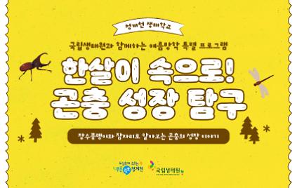 124(초저)[한살이 속으로! 곤충 성장 탐구]국립생태원과 함께하는 청계천 생태학교 여름 특별 프로그램 사진