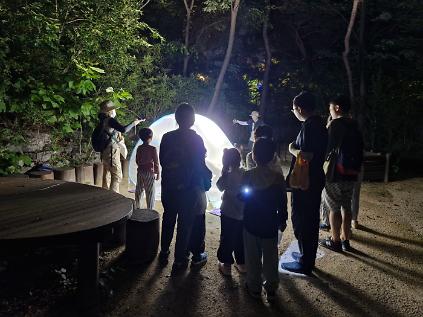 124[성북구](금) 2026년 여름특집 오동공원 야간숲길여행 사진
