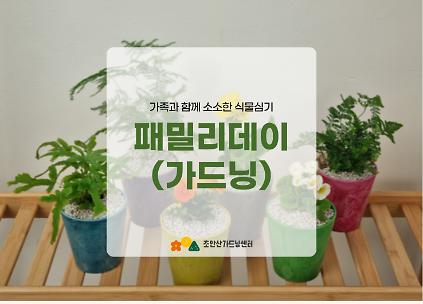 124[초안산가드닝센터][주말][토요일]8월/가드닝/패밀리데이(가드닝) 사진