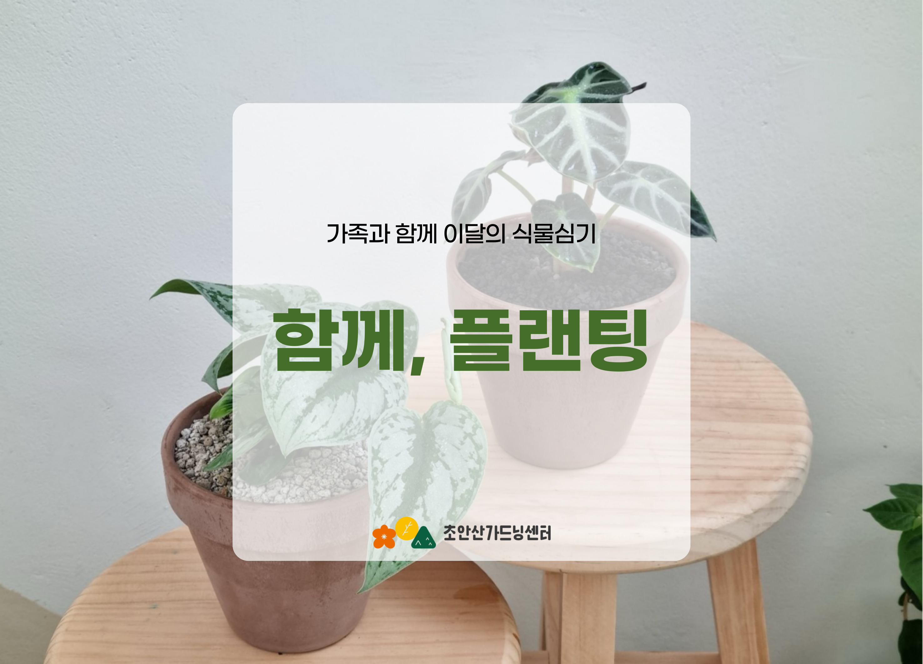 [초안산가드닝센터][주말][토요일]8월/가드닝/함께, 플랜팅