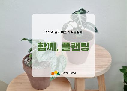 124[초안산가드닝센터][주말][토요일]8월/가드닝/함께, 플랜팅 사진