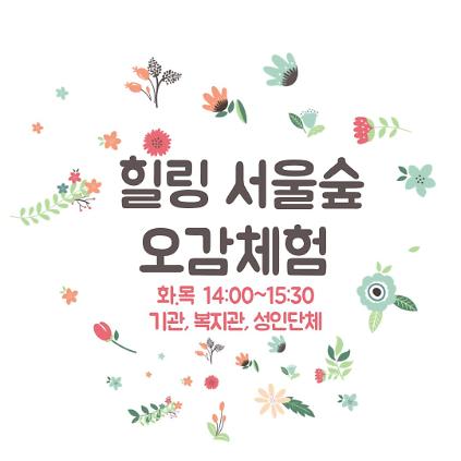 (8월) 힐링 서울숲 오감체험(단체) 사진