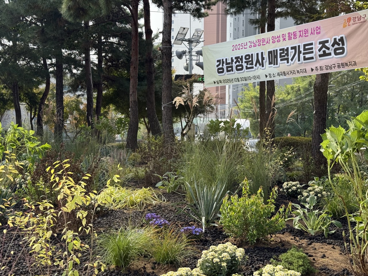 2026년 강남정원사 양성교육 프로그램 참여자 모집(3기)