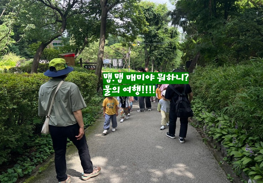 대모산 8월 행복한 숲
