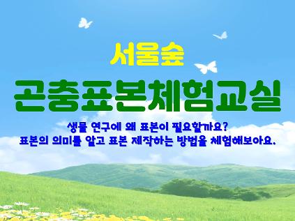 124[서울숲] 곤충표본체험교실 (8월) - 방학특별 사진