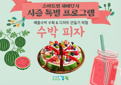 124(애플수박 시즌)강북구 스마트팜 재배단지 특별 프로그램 사진