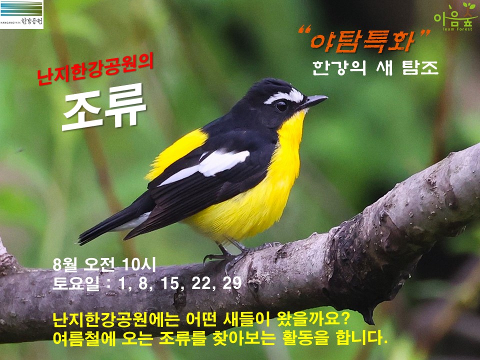 (한강야생탐사센터/특화)(토,일) 여름철새