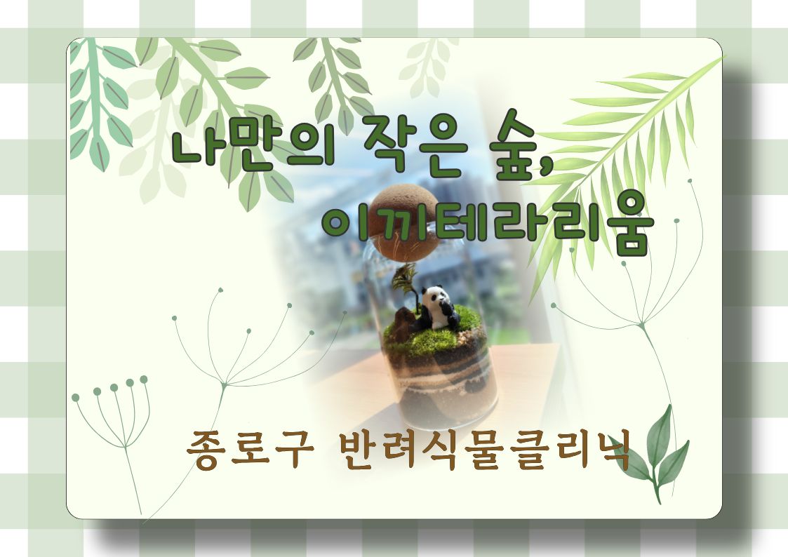 나만의 작은 숲, 이끼테라리움
