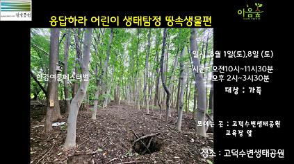 124(고덕)(토) (한강여름페스티벌)응답하라 어린이 생태탐정 땅속생물편 사진