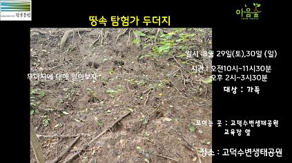 124(고덕)(토)(일) 땅속탐험가 두더지  사진