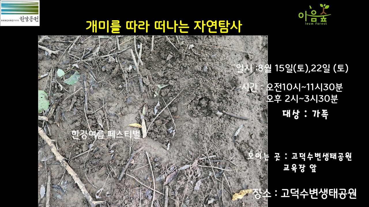 (고덕)(토) (한강여름페스티벌)개미를 찾아 떠나는 자연탐사