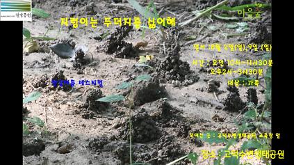 124(고덕)(일)(한강여름페스티벌)지렁이는 두더지를 싫어해 사진