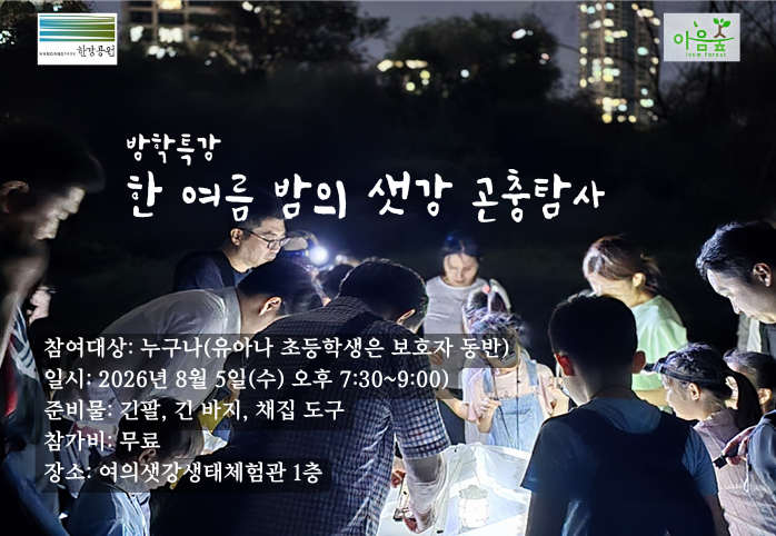 8월 한여름밤의 샛강곤충탐사