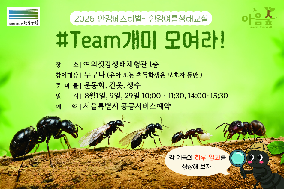 #Team 개미 모여라