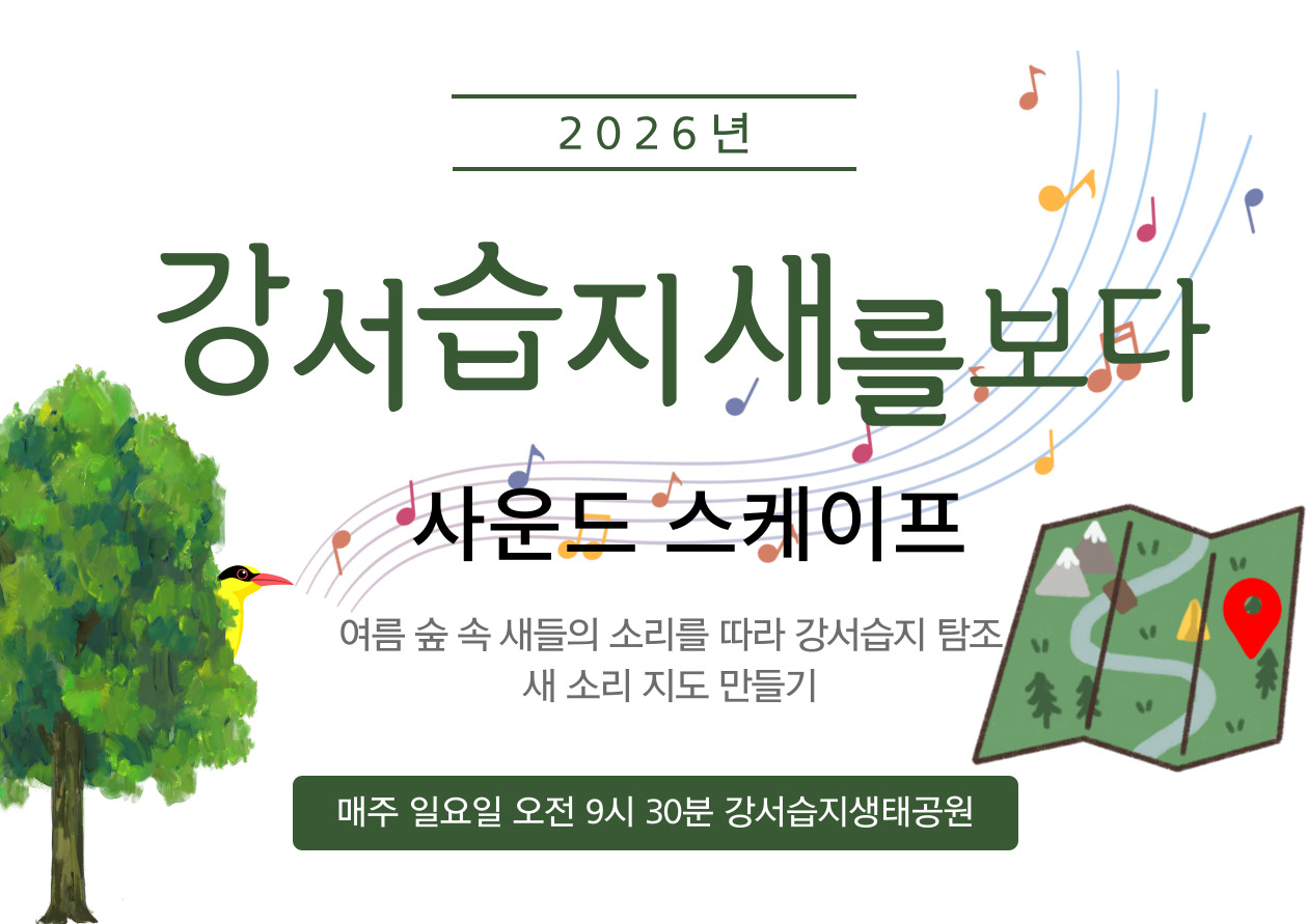 [강서습지] 강서습지 새를 보다 -사운드스케이프-